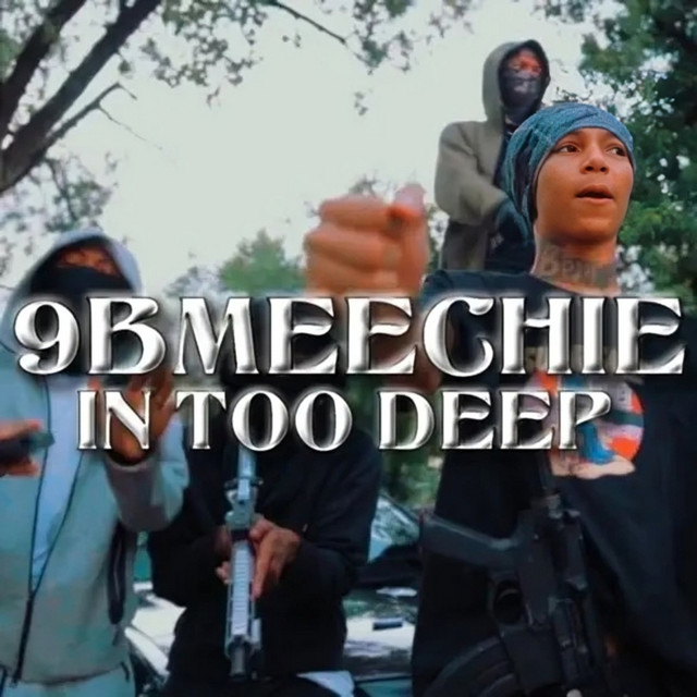 IN TOO DEEP cover art