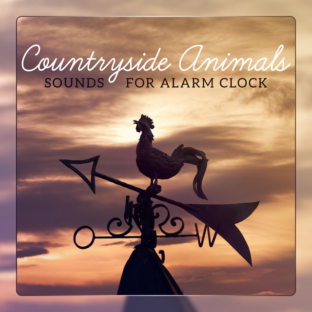 Countryside Animals - Sounds for Alarm Clock cover art