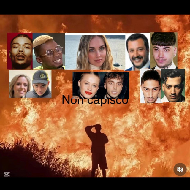 non capisco