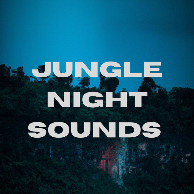 Jungle Night Sounds cover art