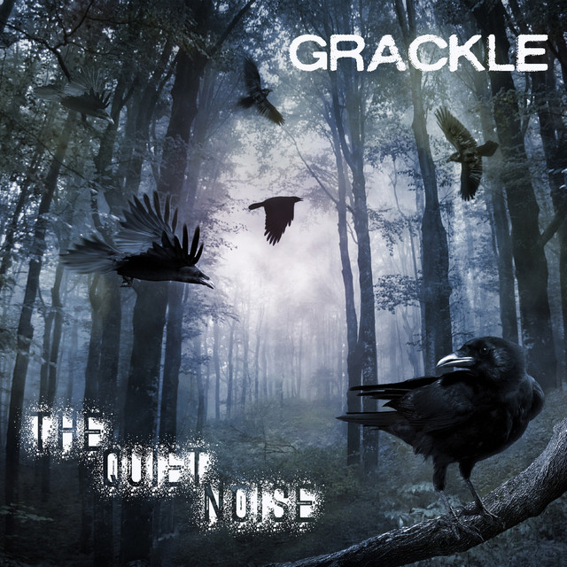 Grackle Photo