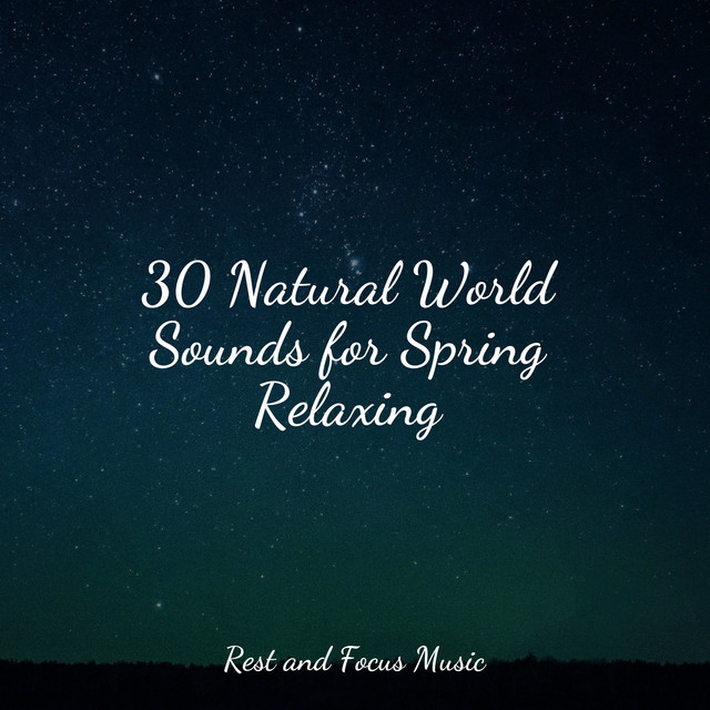 30 Natural World Sounds for Spring Relaxing - Album by Musique Zen ...