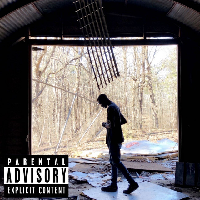 Introvert cover art