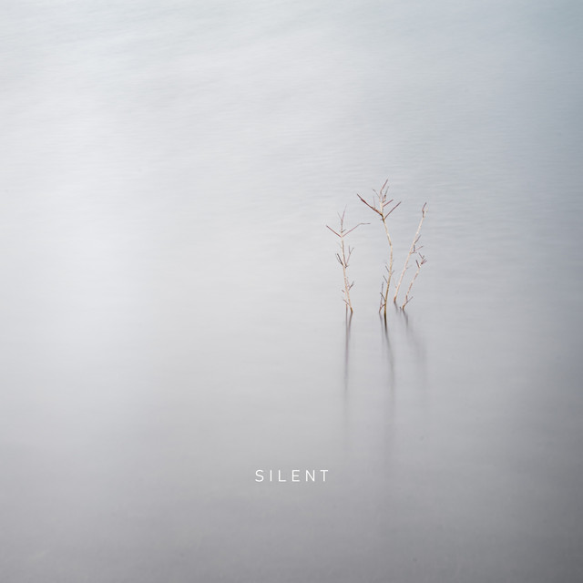 Silent cover