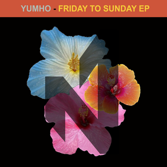 Friday To Sunday - Extented cover art
