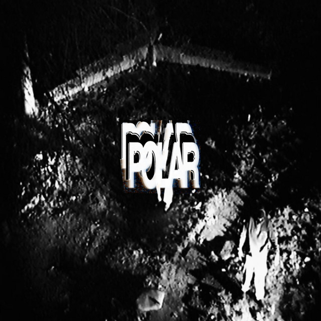 POLAR