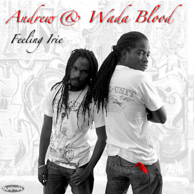 Feeling Irie cover art