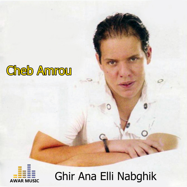 Ghir Ana Elli Nabghik cover art
