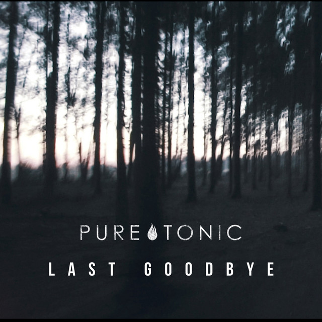 Cover du titre Last Goodbye
