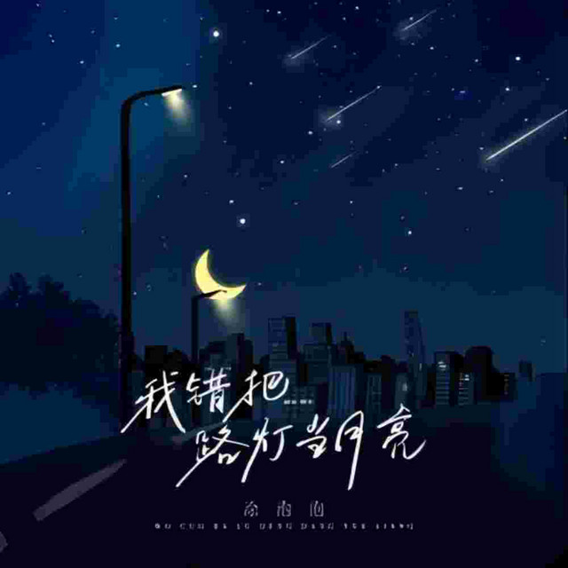我错把路灯当月亮 - Dj默涵版伴奏