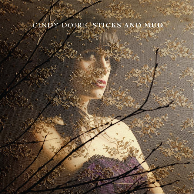 Sticks and Mud cover