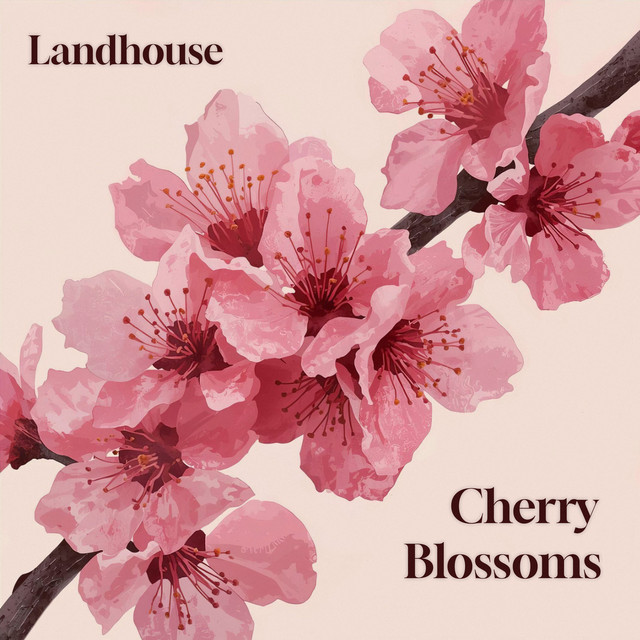  – Cherry Blossoms
