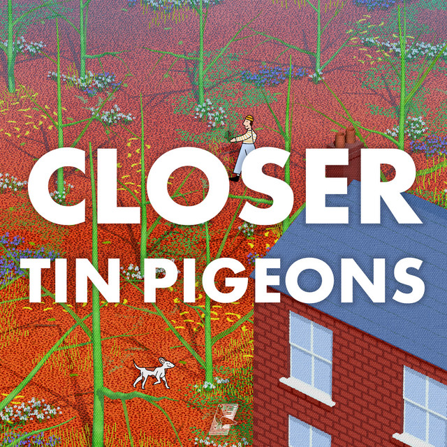Closer cover