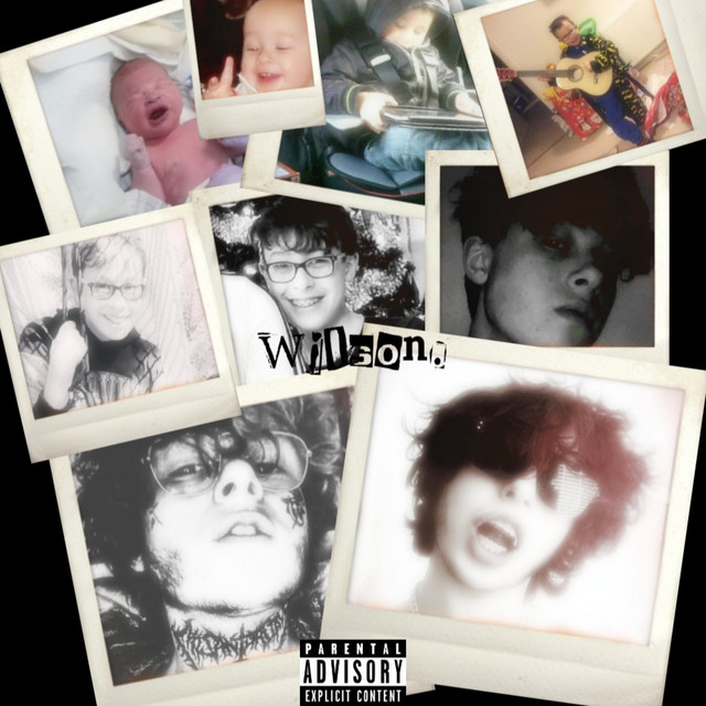 Wilson cover art