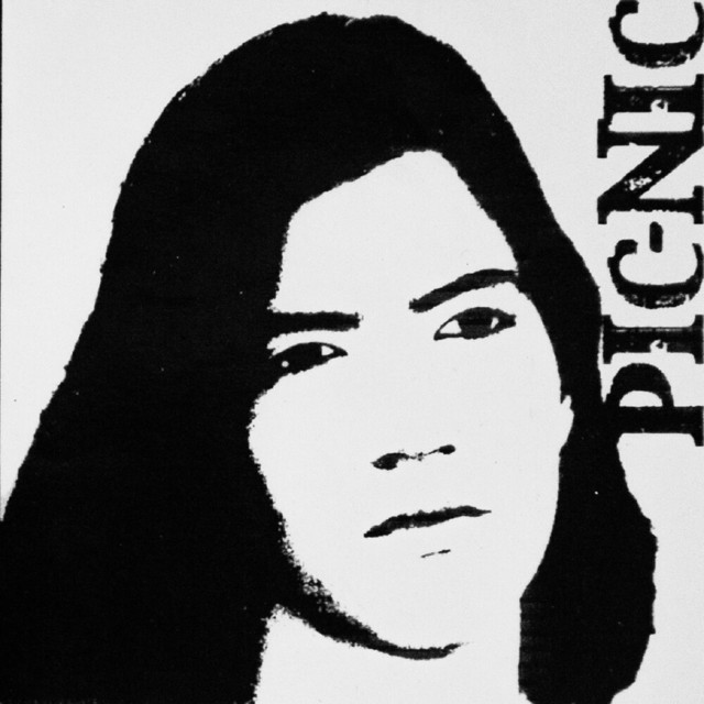 PIC-NIC cover art