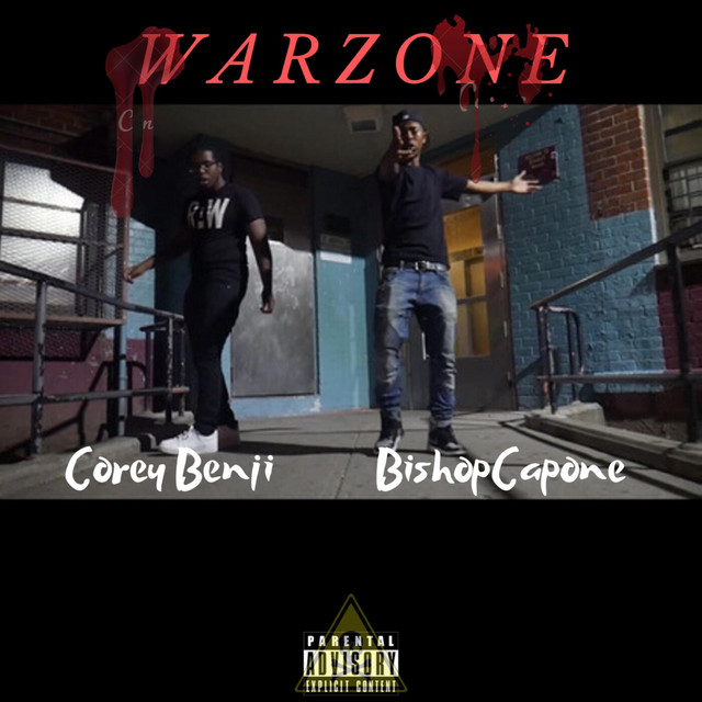 WARZONE cover art