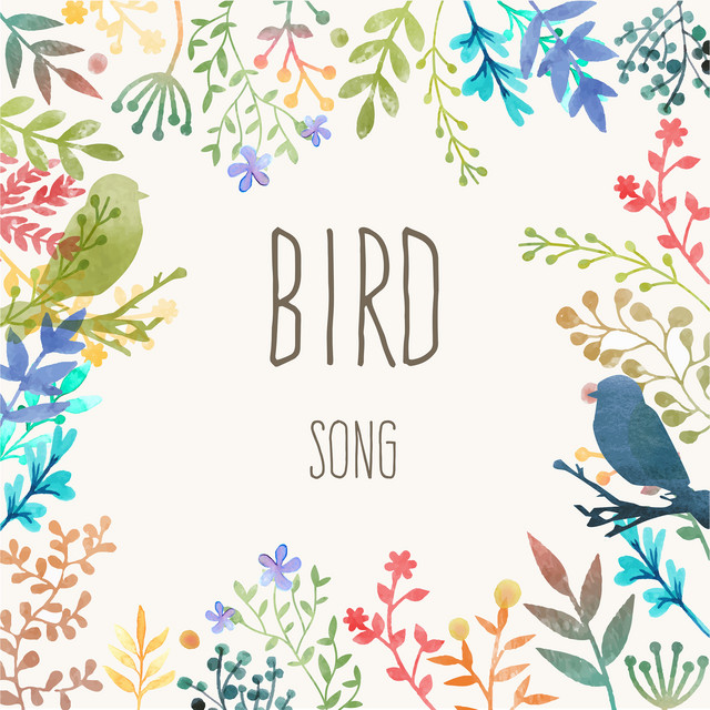 Bird Song cover art