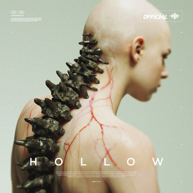 HOLLOW cover art