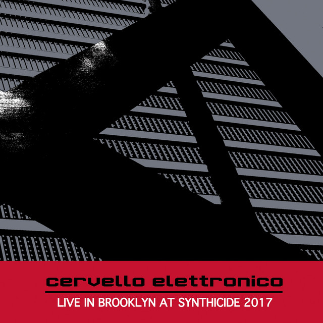 Live in Brooklyn at Synthicide 2017 cover art