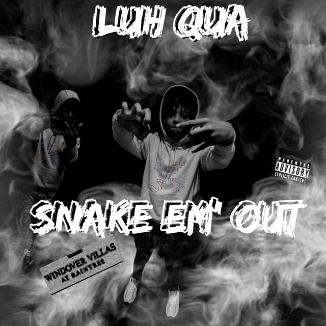 Snake Em' Out cover art