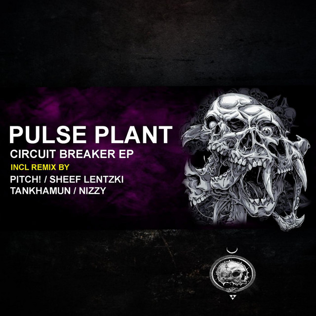 Circuit Breaker - Sheef Lentzki Remix cover art