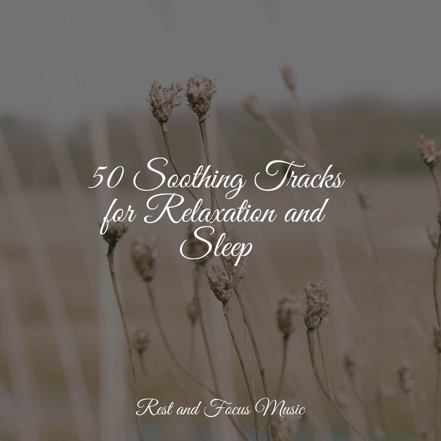 50 Soothing Tracks for Relaxation and Sleep - Album by Música para ...