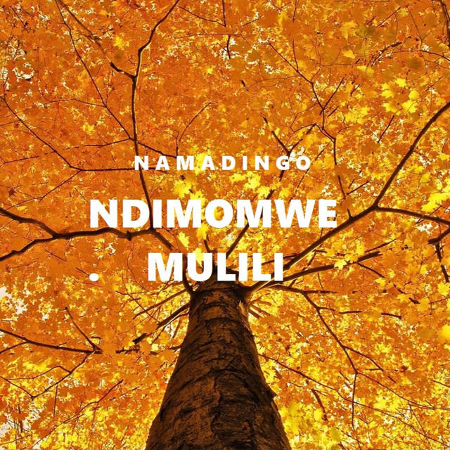 Ndimomwe mulili album image