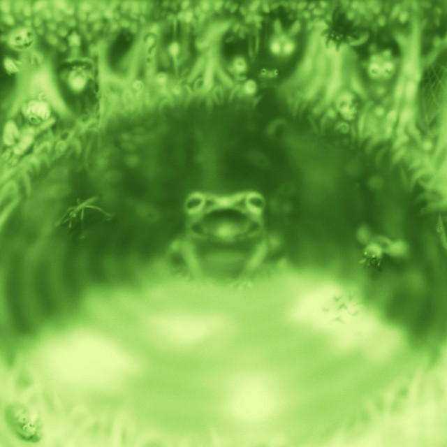 Frog Lake cover art