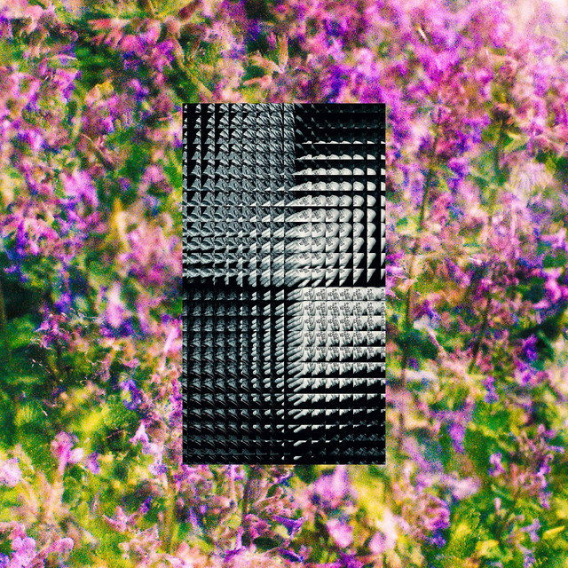Faces In The Water cover art