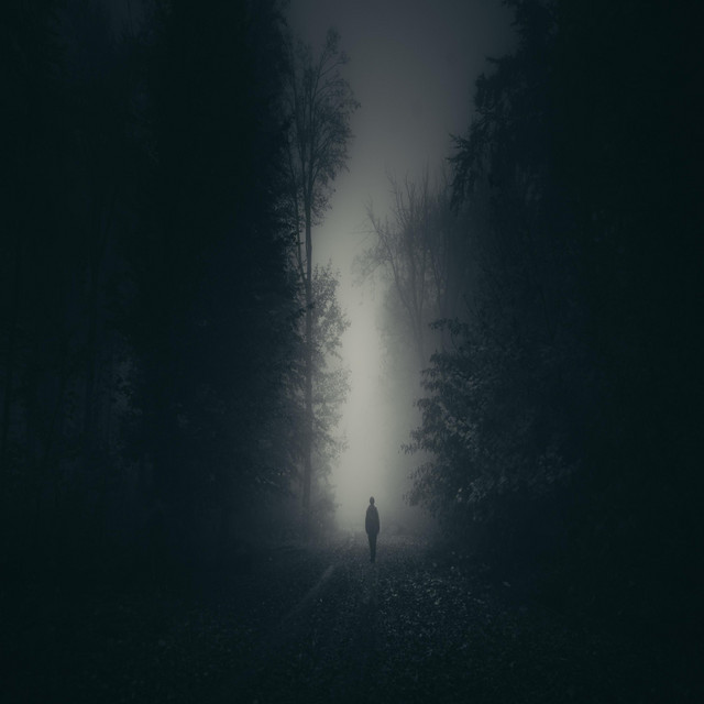 Vincent cover art