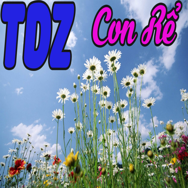 Con Rể - Single by TDZ | Spotify