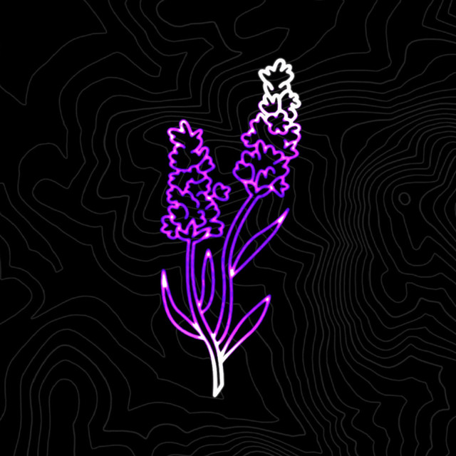 Lavender Town cover art