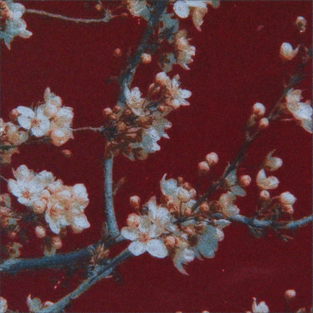 PETALS cover art