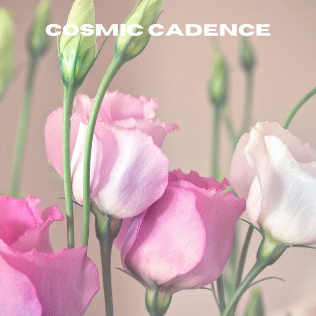 Cosmic Cadence