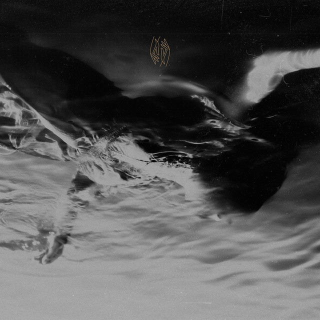 Coma Year cover art