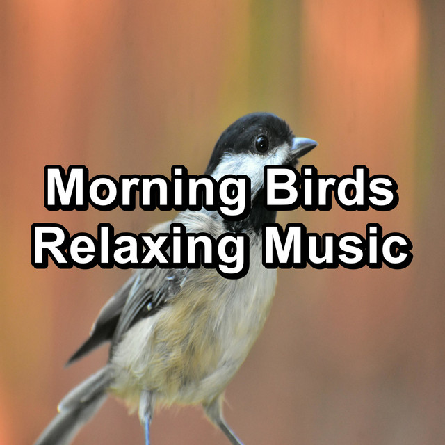Morning Birds Relaxing Music cover art