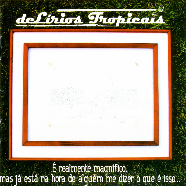 É Realmente Magnífico, mas já Está na Hora de Alguém me Dizer o que É Isso ... cover art