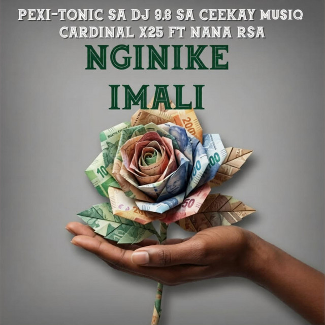 Nginike imali