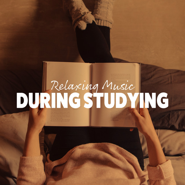 Relaxing Music During Studying: Pure Focus, Study Music for Stress Relief, Mindfulness cover art