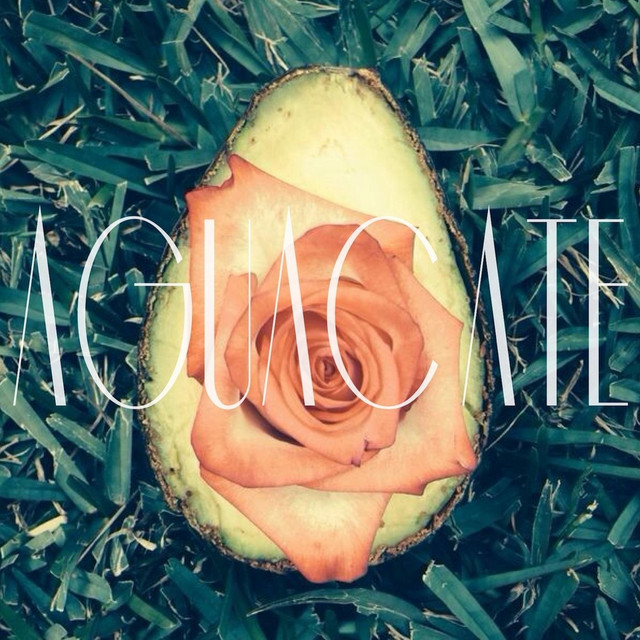 Aguacate cover art