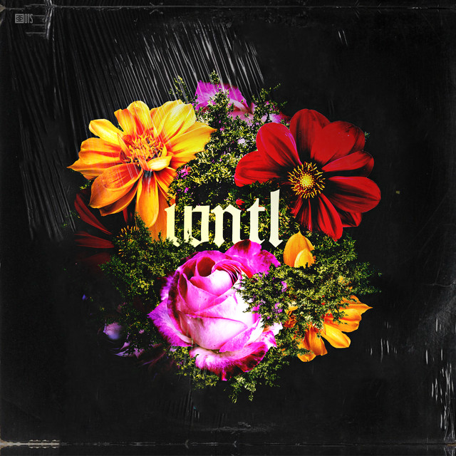 What's Not To Love? cover art