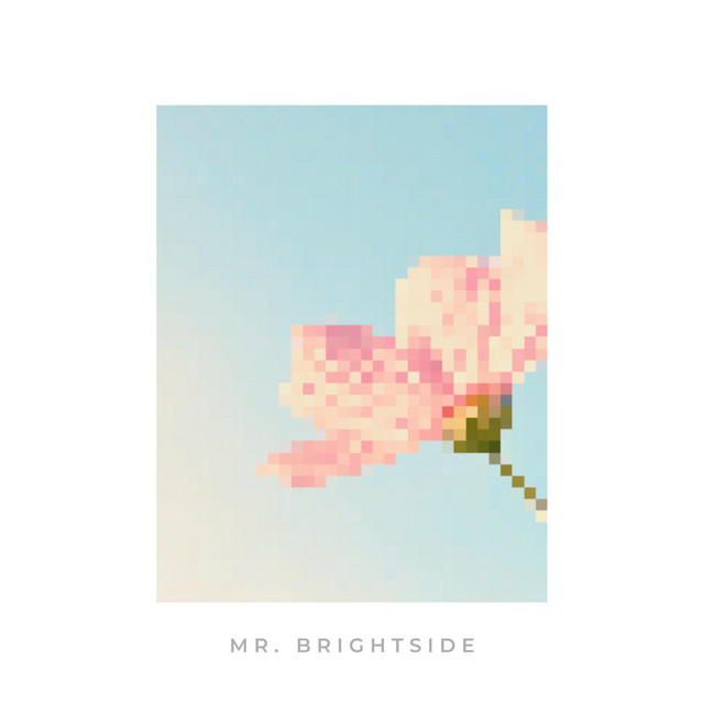 Mr. Brightside cover art