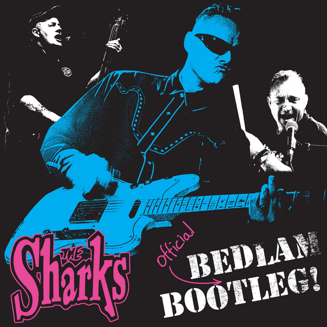 Bedlam Bootleg (Live at Bedlam Breakout) cover art