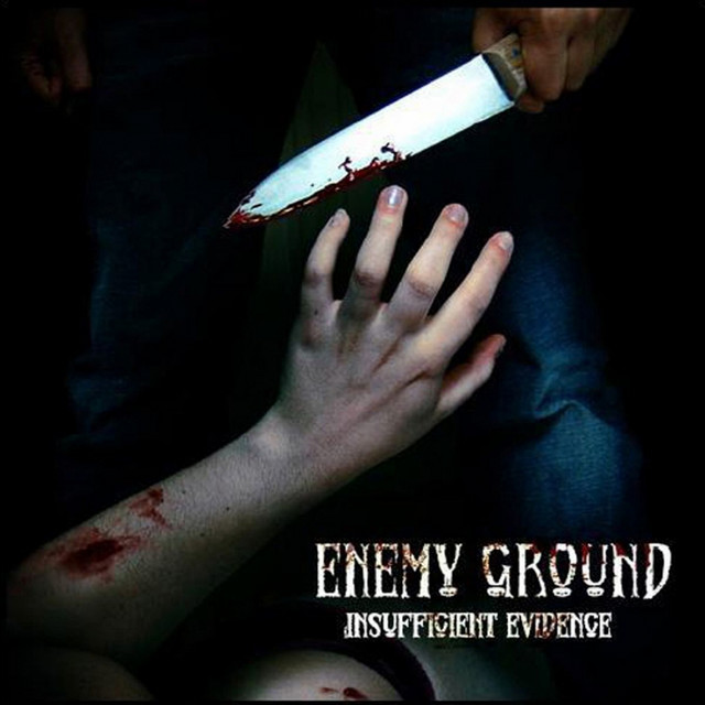 Insufficient Evidence cover art