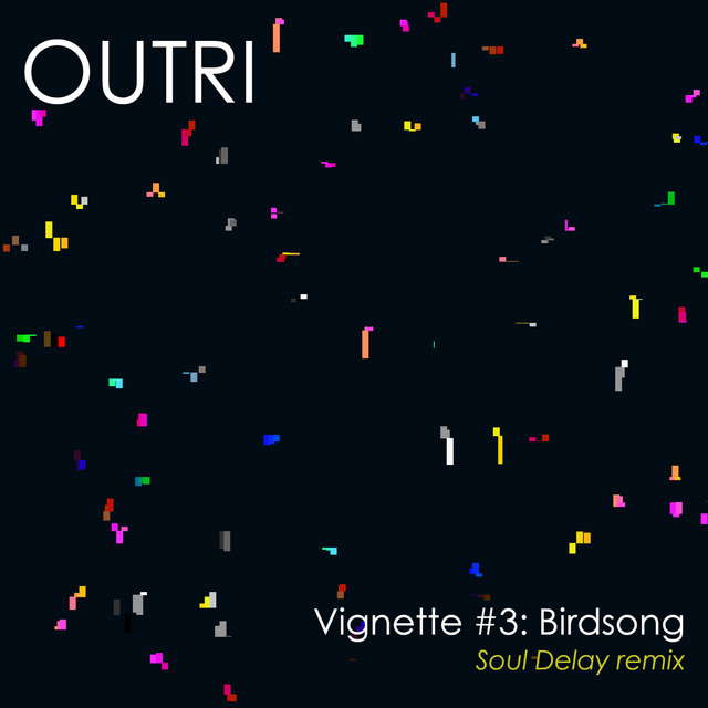 Vignette #3: Birdsong (Soul Delay remix) cover