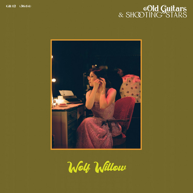 Old Guitars & Shooting Stars cover art