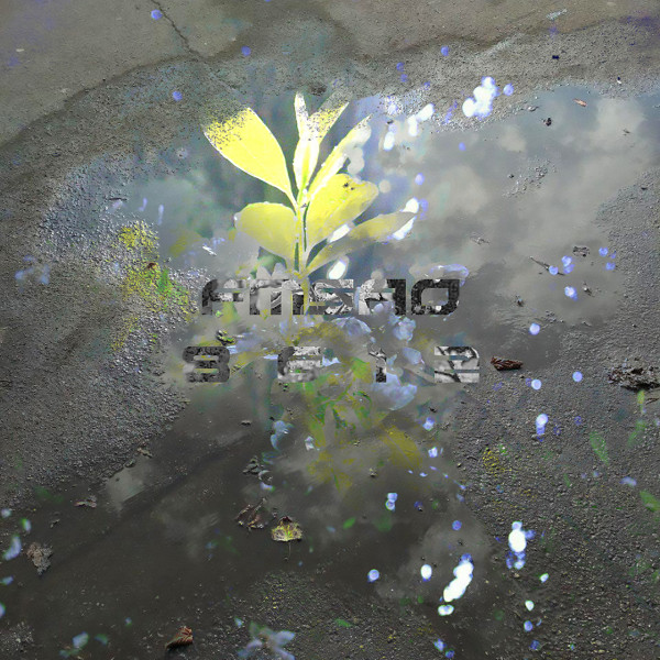 8 6 1 2 cover art
