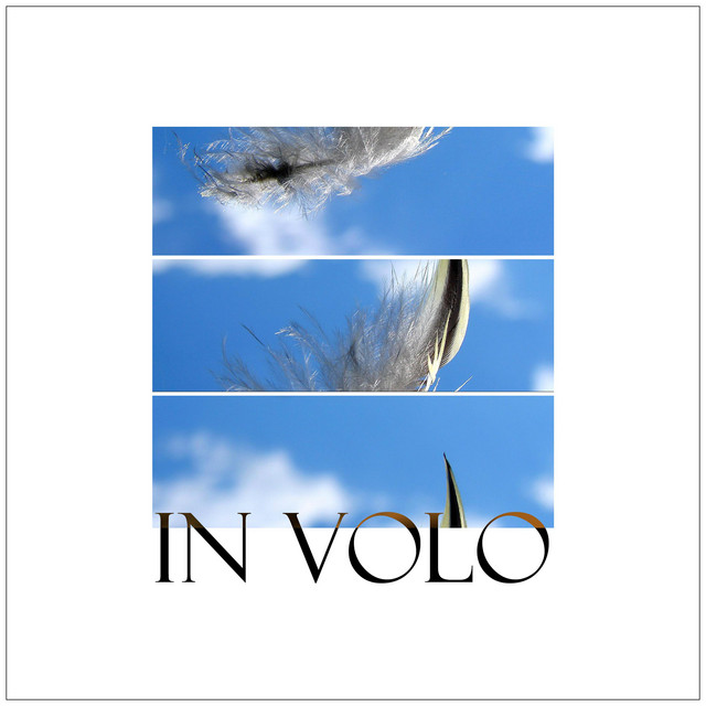 In volo cover art