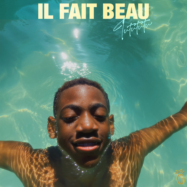 Cover du titre Il fait beau