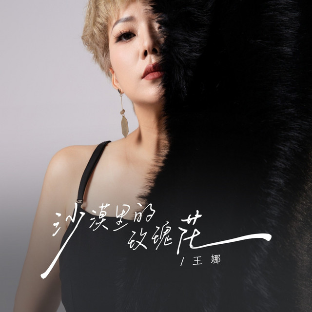 沙漠里的玫瑰花（DJ蓝小龙版）